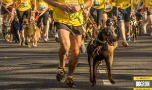 3000 corredores junto a sus perros participaron de Revolution DogRun Buenos Aires 2015